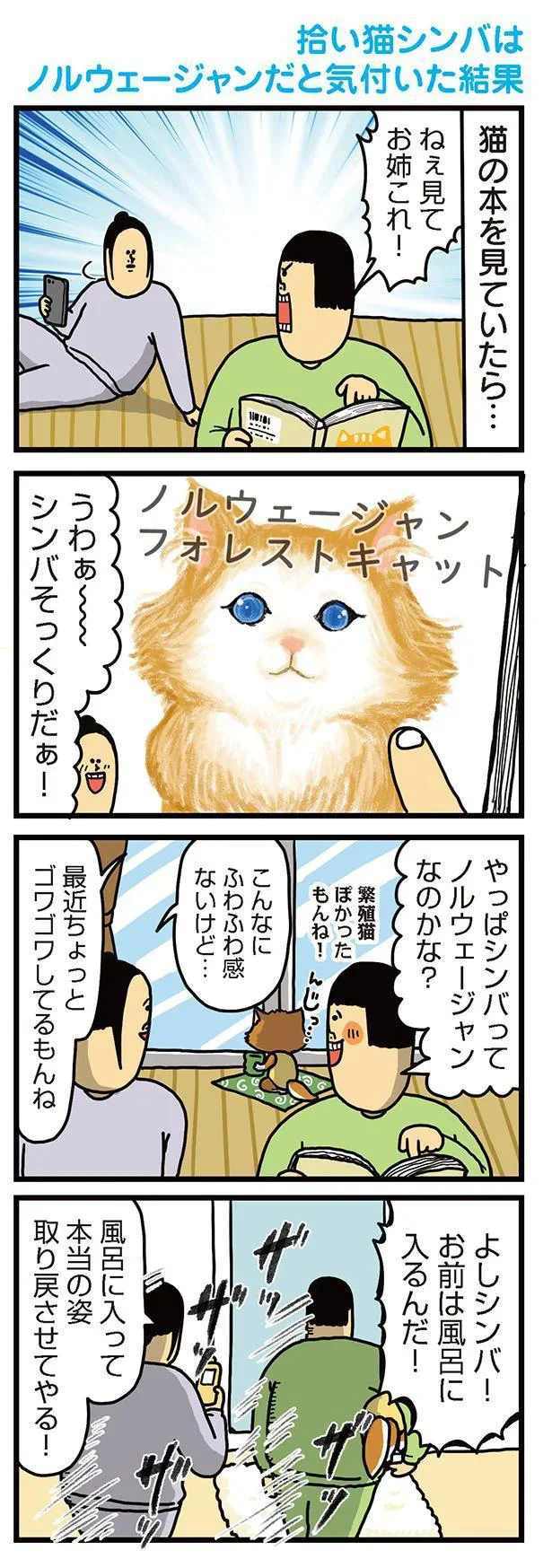 『まめきちまめこニートの日常　こまちとタビ2』より