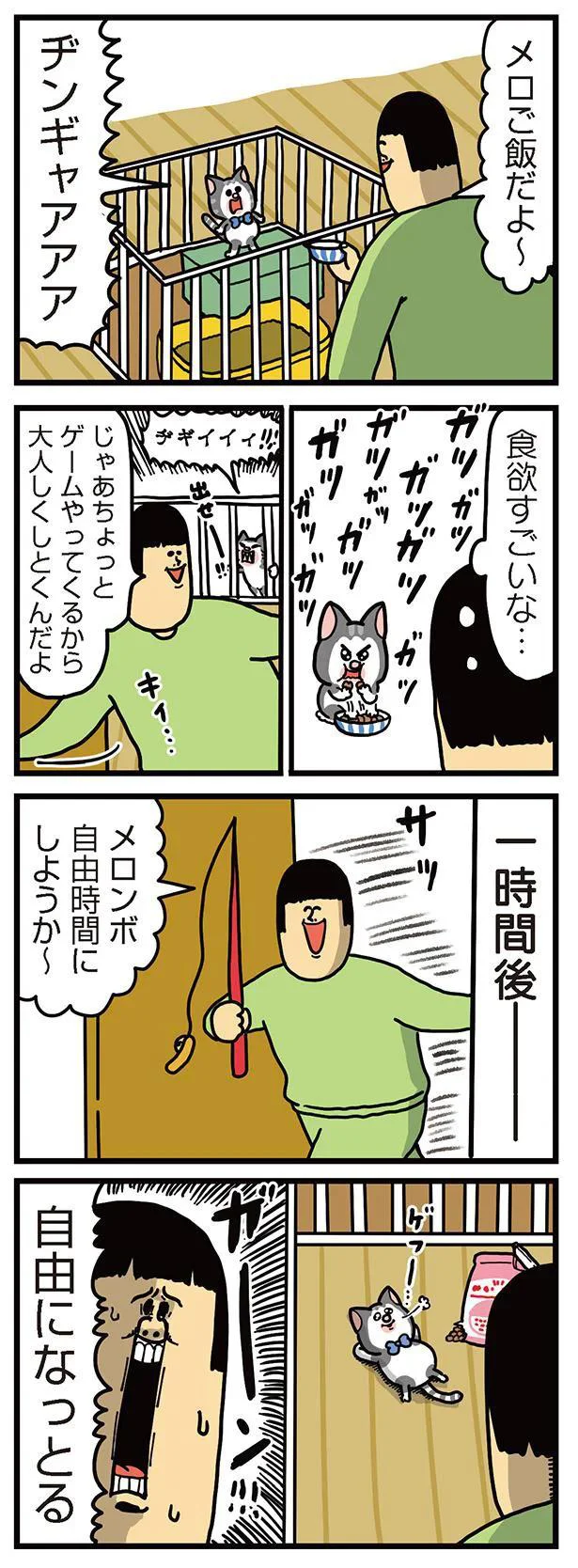 『まめきちまめこニートの日常　こまちとタビ3』より