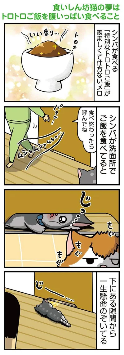 『まめきちまめこニートの日常　こまちとタビ3』より