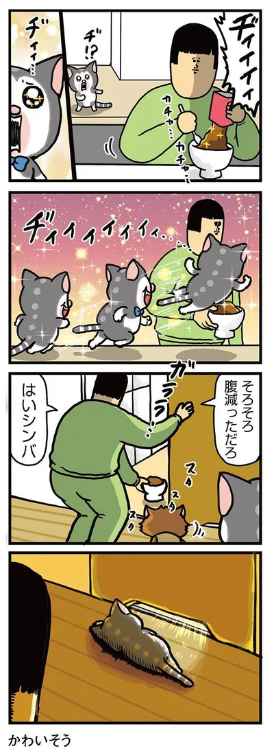 『まめきちまめこニートの日常　こまちとタビ3』より