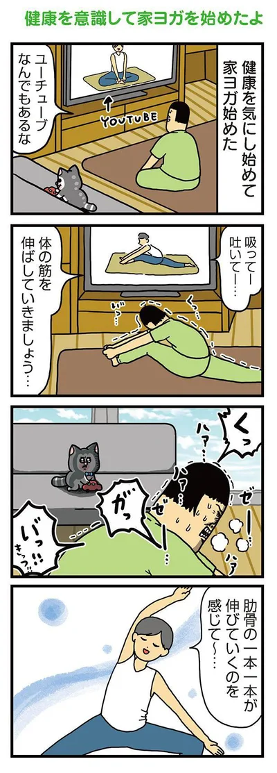 『まめきちまめこニートの日常　こまちとタビ3』より