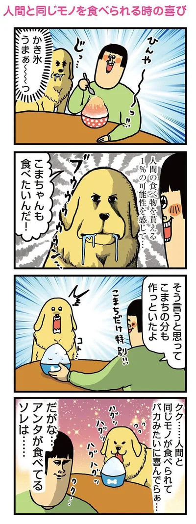 『まめきちまめこニートの日常　こまちとタビ3』より