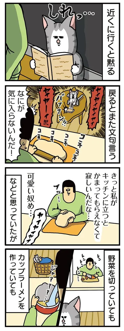 『まめきちまめこニートの日常　こまちとタビ3』より