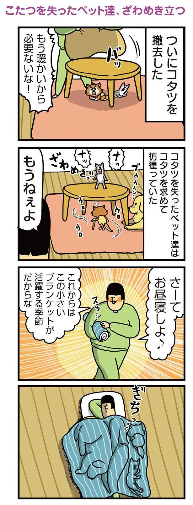 『まめきちまめこニートの日常　こまちとタビ3』より