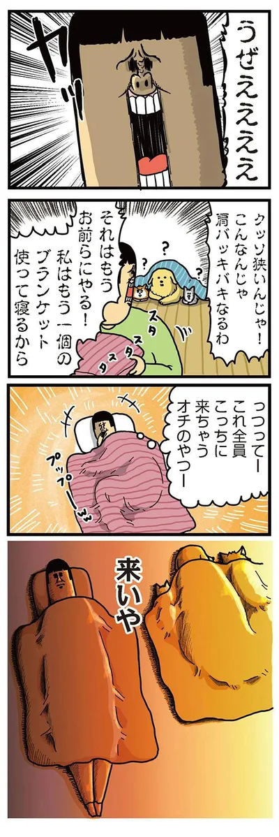 『まめきちまめこニートの日常　こまちとタビ3』より