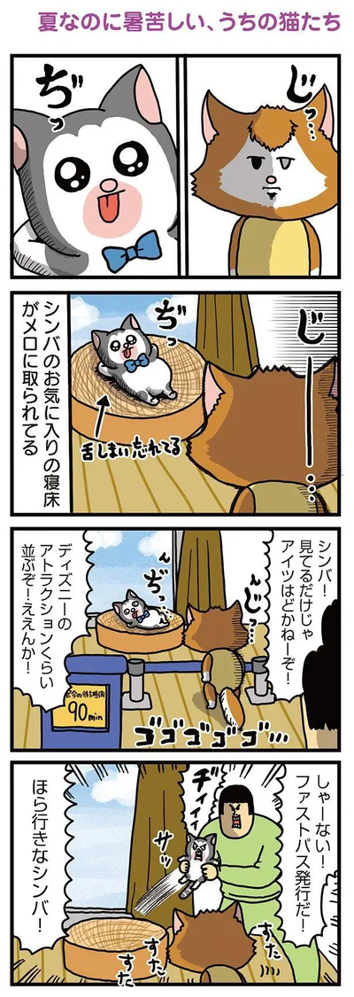 『まめきちまめこニートの日常　こまちとタビ3』より