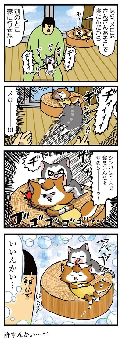 『まめきちまめこニートの日常　こまちとタビ3』より