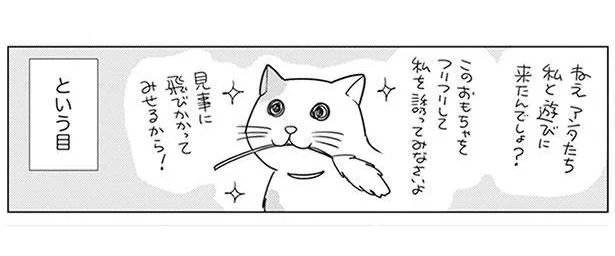 片付け中でも遊んでほしい猫。 そんな時に使う最終兵器とは!?／二度と散らからない部屋になりました（7）