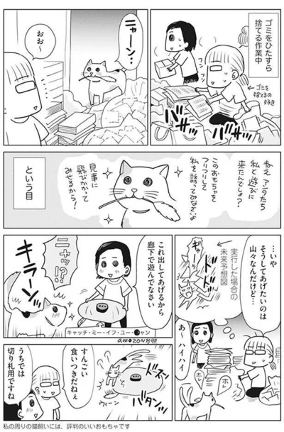 片付け中でも遊んでほしい猫