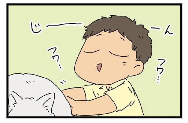 ネコを触って感動した息子。お家に帰っても余韻に浸りまくり!?／父と子（2）