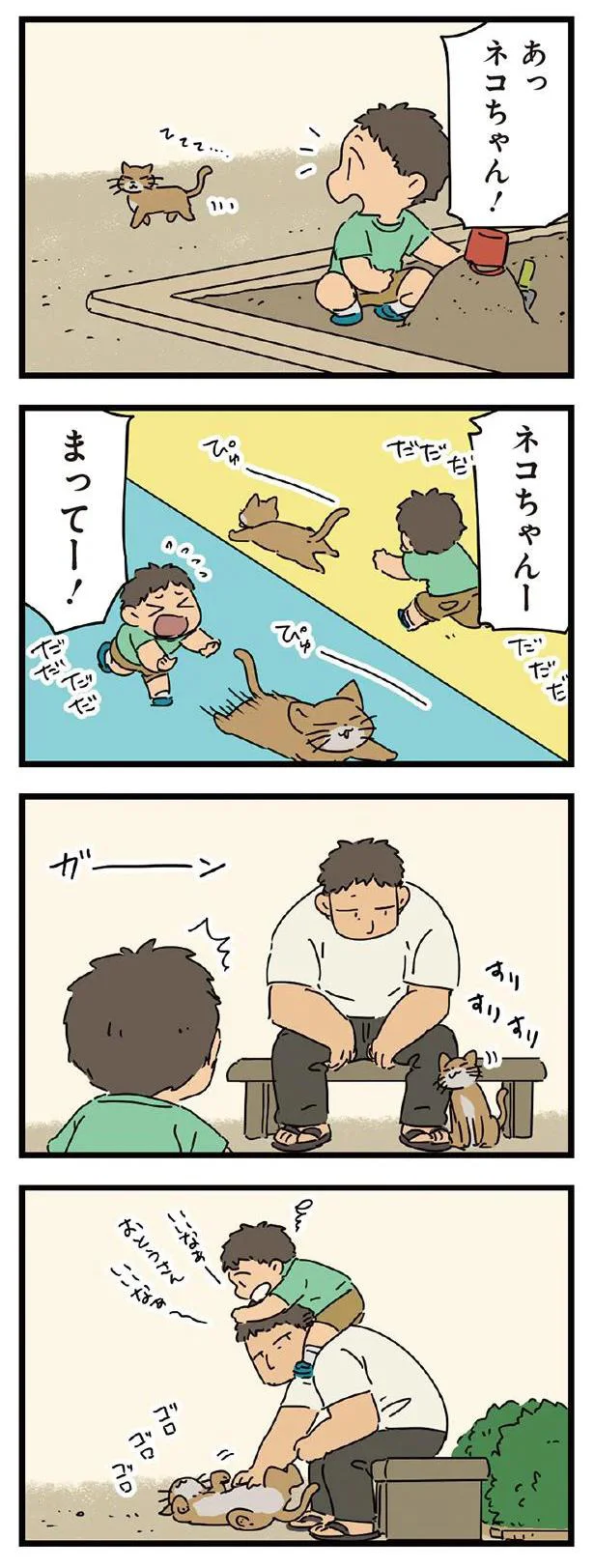 あっネコちゃん！