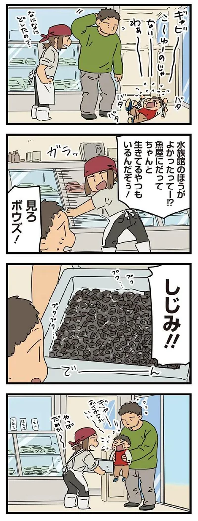 これじゃない