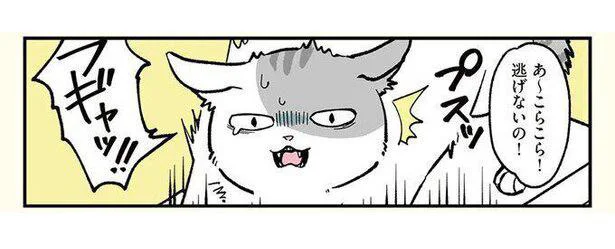 逃げないの!
