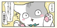 広報撮影会で注文が多く大苦戦。「贅沢者が！」猫になった社員 VS 広報担当／ブラック企業の社員が猫になって人生が変わった話(モフ田くんの場合)（4）