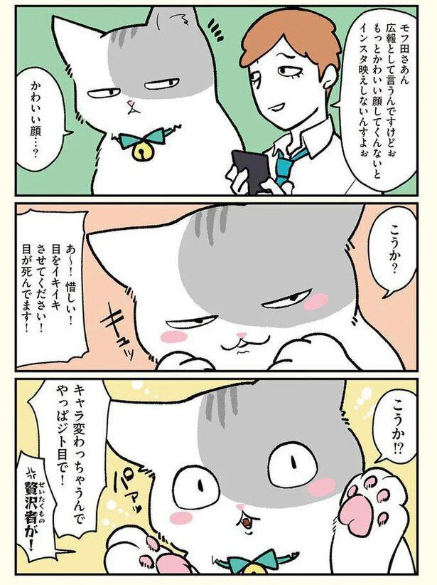 モフ田くんと広報くん1