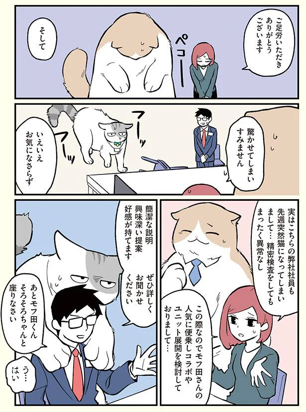 実は弊社社員も突然猫に…