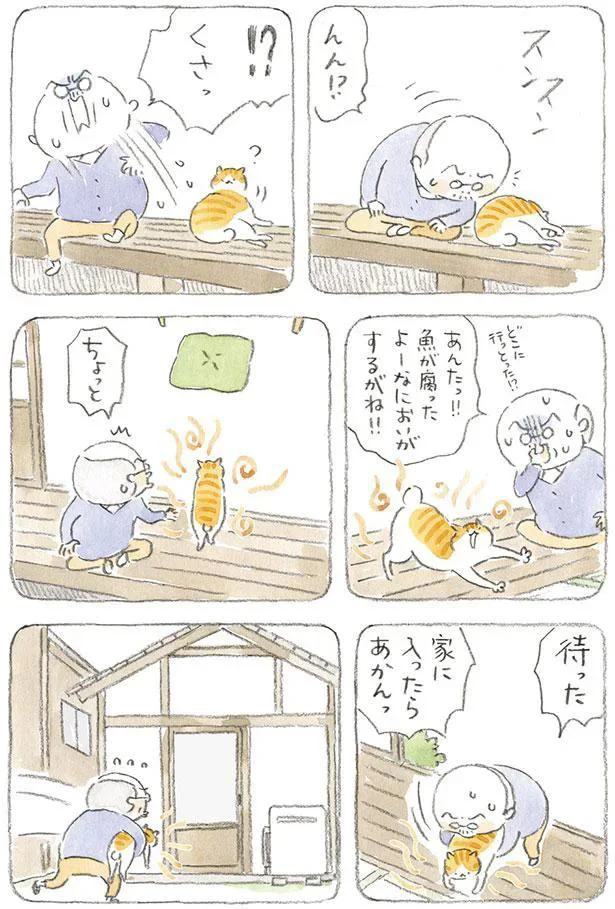 魚が腐ったよーなにおいがするがね！！