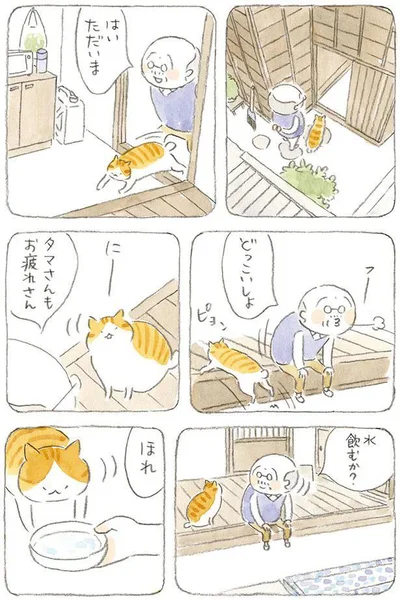 タマさんもお疲れさん