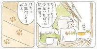 掃除をしたばかりの縁側に足跡が！じいちゃんを翻弄する猫／ねことじいちゃん3（5）