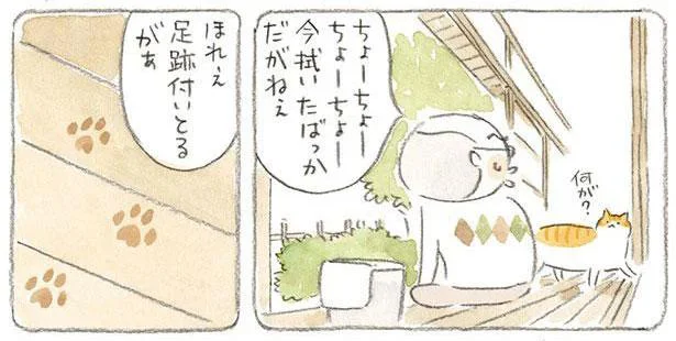 ほれぇ　足跡付いとるがぁ