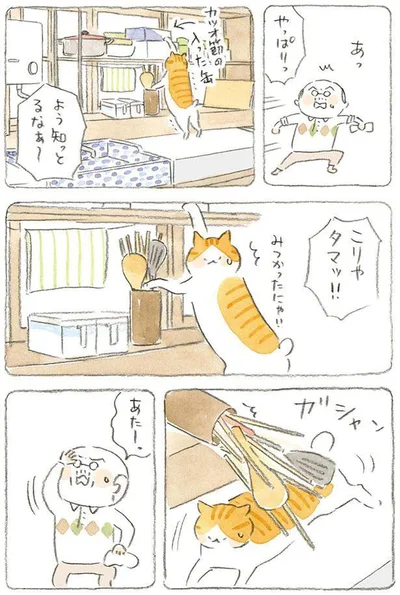 こりゃタマッ！！