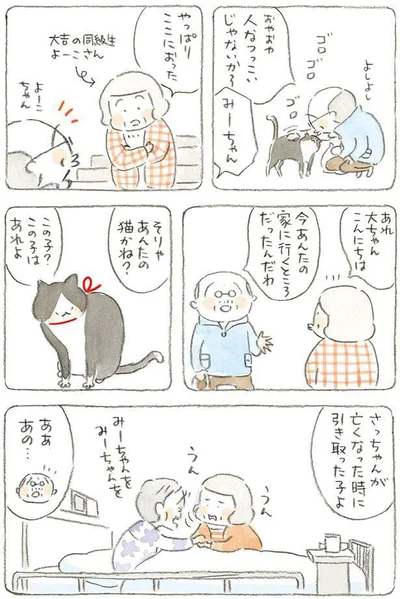 そりゃあんたの猫かね？