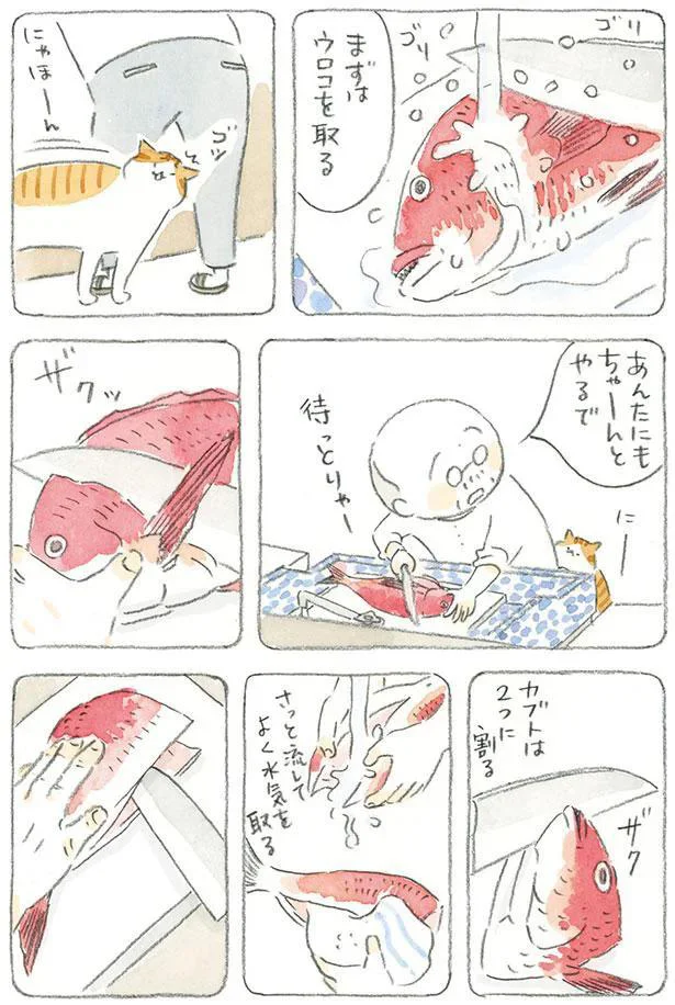 待っとりゃー