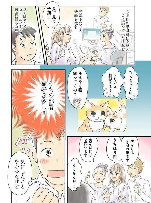 みんなも猫飼ってるの？