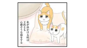 出かけるときは心細そうにする姉妹猫。母猫とどんなふうにはぐれたんだろう／飼い猫がなつきません（6）