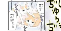 なめ魔は個性!? ひたすら猫の耳を吸う妖怪現る！／飼い猫がなつきません（7）