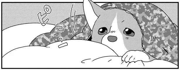 ピコン