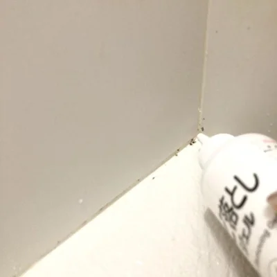 カビにジェルを塗っていきます