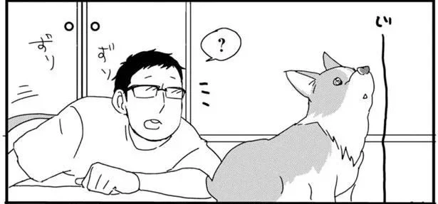 じー