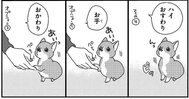 芸の数々