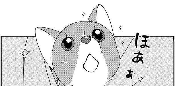 ほああ