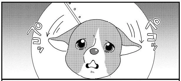 エリザベスカラー
