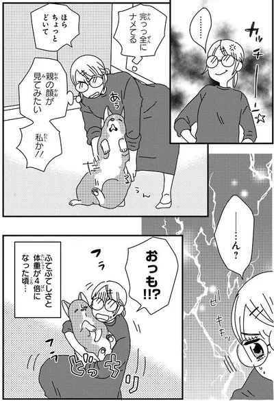 ふてぶてしさと体重が4倍に…