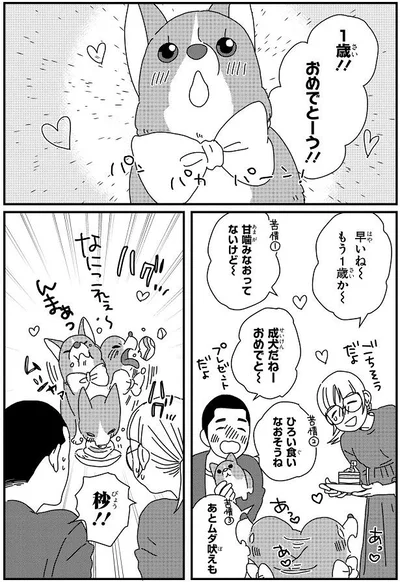 もう1歳か～
