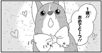 1歳おめでとー!!体重とふてぶてしさは4倍に！コーギー犬の成長は早い／ぼくもいっしょ！（9）