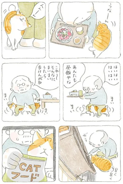 あんたも昼飯やな