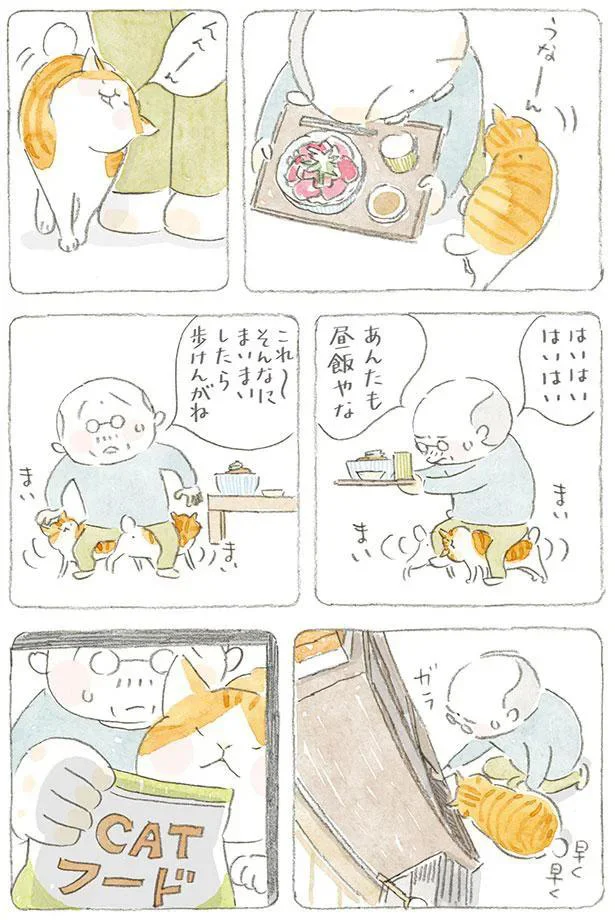 あんたも昼飯やな