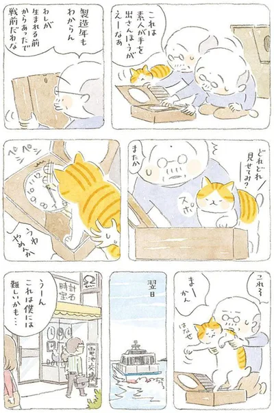 これは素人が手を出さんほうがえーなぁ