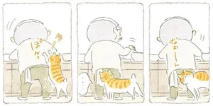 猫のタマも出来栄えに興味津々。じいちゃん、イカ飯作りに挑戦！／ねことじいちゃん7（2）