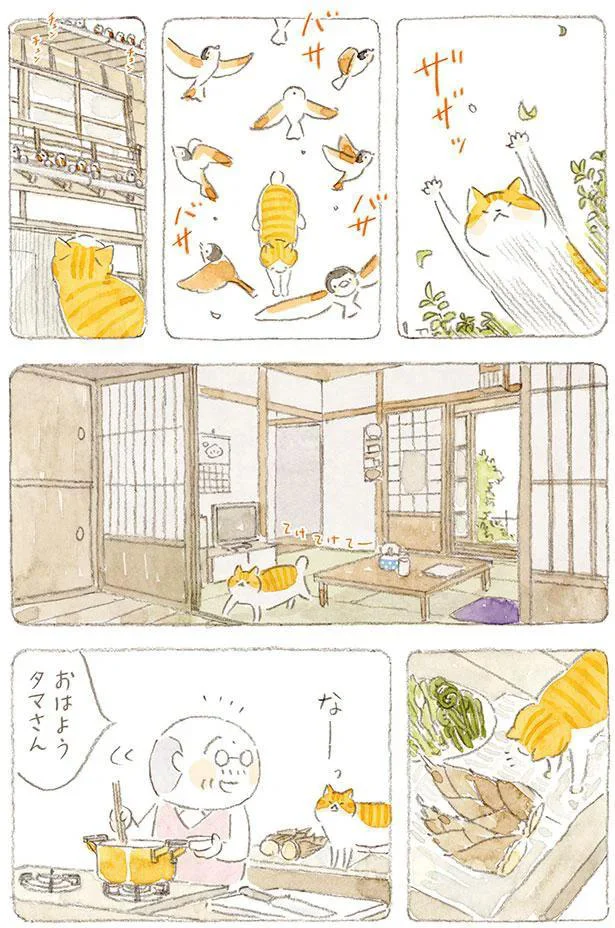 おはようタマさん