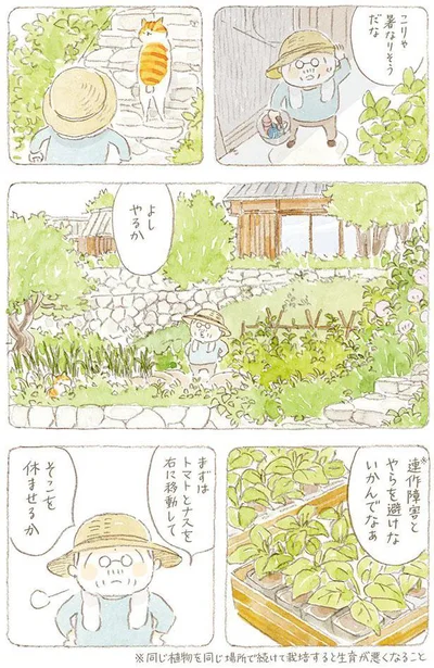 こりゃ暑なりそうやな