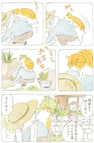 猫乗せて仲いいねぇ