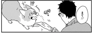 「まて!!」って言われちゃったけど…まてない！うちのかわいい犬／あしょんでよッ 〜うちの犬ログ〜3（1）