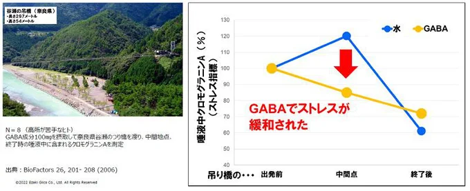 GABA成分100㎎を摂取して奈良県谷瀬のつり橋を渡り、中間地点、終了時の唾液中に含まれるクロモグラニンAを測定