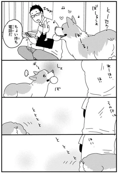 うそつき