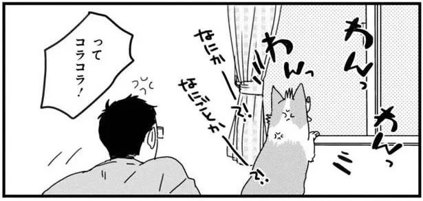 なにごとかー?!